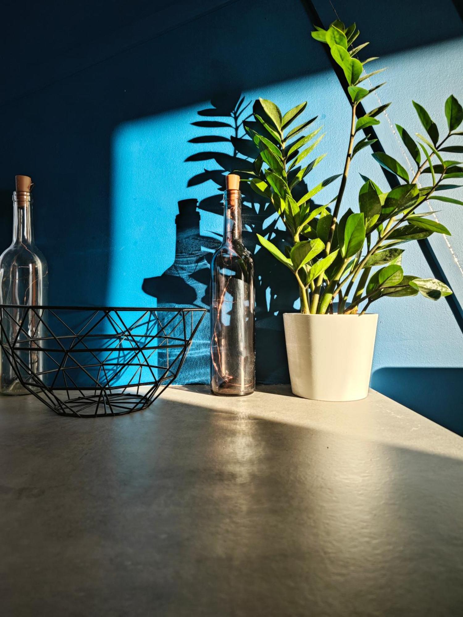 Apartment Przytulne Mieszkanie Przy Kanale Zeranskim Warsaw